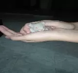 CLíNICA VETERINARIA PULGAS