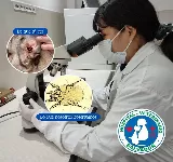 CLíNICA VETERINARIA SALVADOR