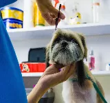 CLíNICA VETERINARIA SAN RAFAEL