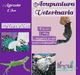 CLíNICA VETERINARIA ÑOGUI