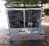 DOG CARE