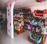 DOGTORPET CLíNICA VETERINARIA