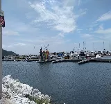 DROGUERíA Y VETERINARIA EL BECERRO