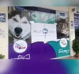 HATOVET CLINICA VETERINARIA