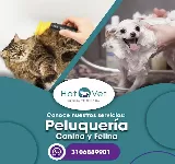 HATOVET CLINICA VETERINARIA