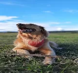 LA GRANJITA CLINICA VETERINARIA