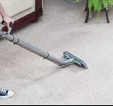 LIONE GREEN CARPET CLEANING LOS ANGELES