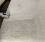 LOS ANGELES CARPET CLEANING