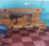 MASCOTALANDIA S.A.S.