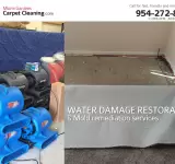 MIAMI GARDENS CARPET CLEANING