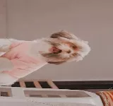PELOS Y PATAS