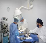 PERROS & GATOS | VETERINARIA