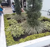 PET CLINIC CENTER CLíNICA VETERINARIA