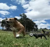 PETCENTER TUNJA