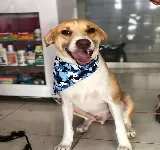 SPA Y VETERINARIA DUARTE