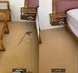 STEAMPRO CLEANING & RESTORATION