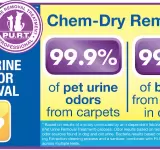 SUNSHINE CHEM-DRY