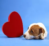 UNIDAD MEDICA VETERINARIA HUELLAS