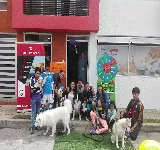 VET MEDICAL
