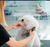 VETERINARIA BIO-MASCOTAS