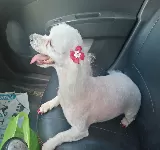 VETERINARIA CARTAGENA
