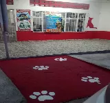 VETERINARIA DOCTOR VACCA