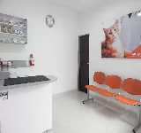VETERINARIA EN PALMIRA - CLINICA VETERINARIA SANICANS PALMIRA