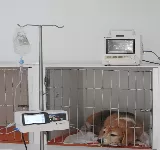 VETERINARIA EN PALMIRA - CLINICA VETERINARIA SANICANS PALMIRA