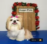 VETERINARIA HAPPY PETS VILLAVICENCIO