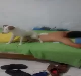 VETERINARIA MANRIQUE