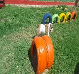 VETERINARIA MINREX