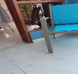 VETPLUS CENTRO VETERINARIO