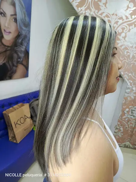 Nicolle Peluqueria