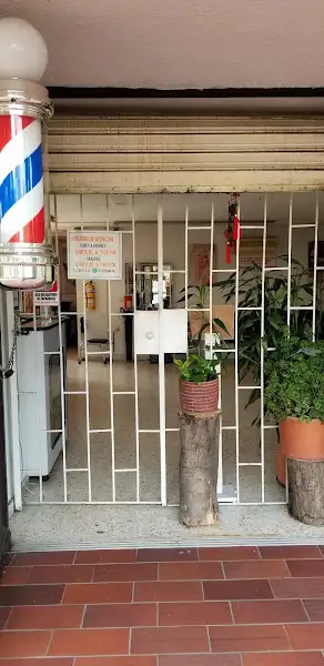 Peluquería Estilo Libre