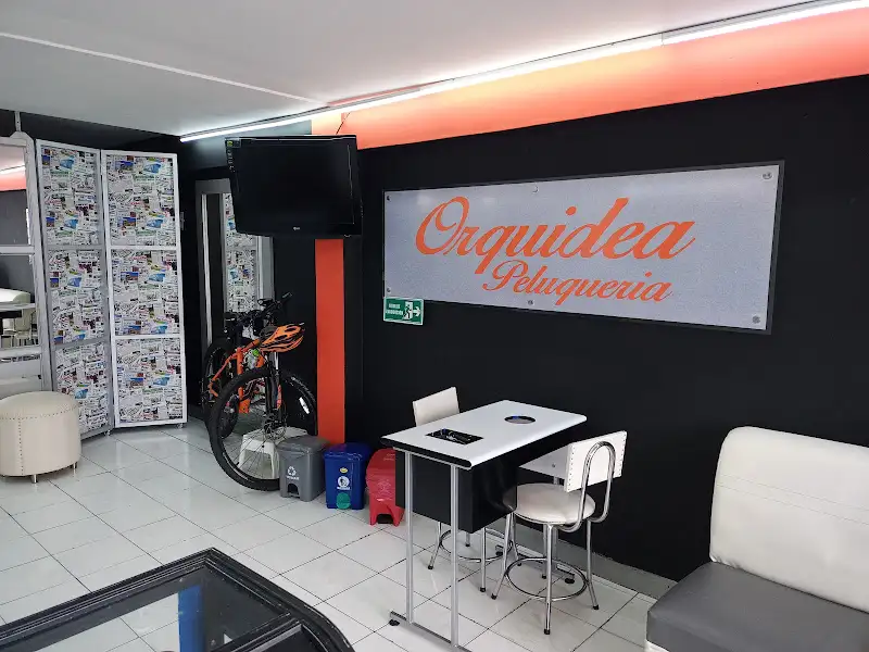 Orquídea Peluqueria