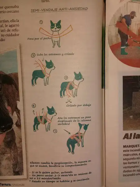 LOOK PELUQUERÍA