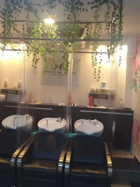 Kevin Mendoza Salón