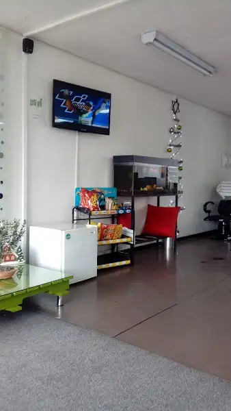 Camilo's Hair Salon