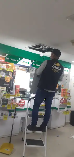 Saloon Hair Peluquería